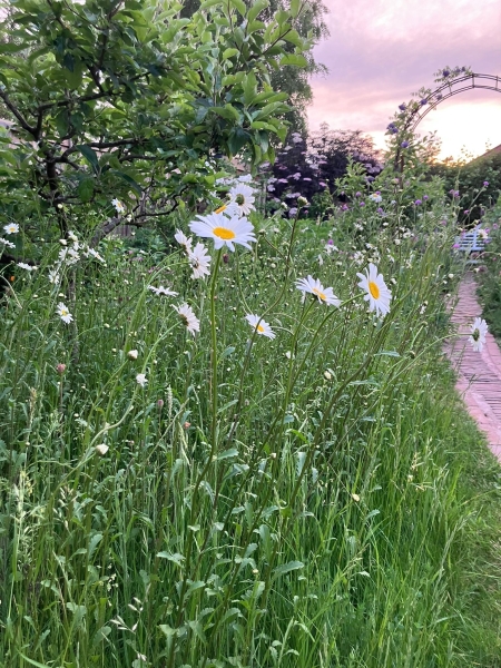 Mapperley Gardens